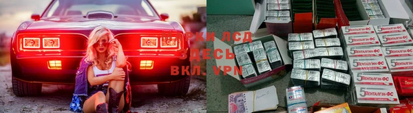 гидра Новокубанск