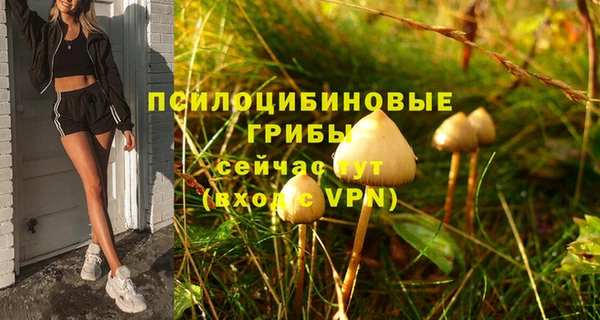 не бодяженный Няндома