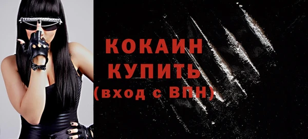 мдпв Новозыбков