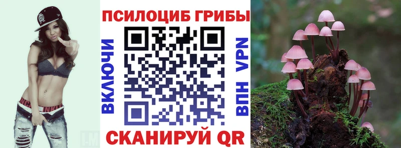 Псилоцибиновые грибы Cubensis Старый Крым
