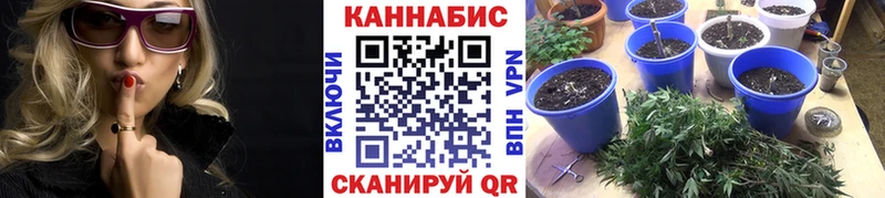 Конопля тримм Купить закладки Старый Крым